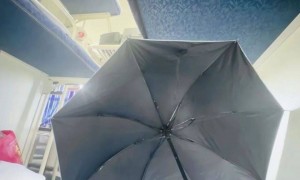 女乘客坐火车卧铺打伞遮隐私 12306回应