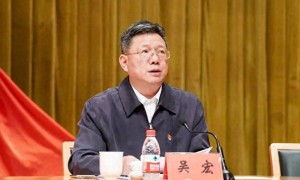 苏州工业园区党工委副书记、管委会主任吴宏任上被查