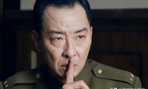 《沉默的荣耀》演技排名：曾黎进前5，于和伟才第2，第1当之无愧