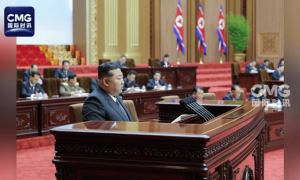 金正恩：朝韩绝对不会合并，朝鲜绝对不会放弃核武器