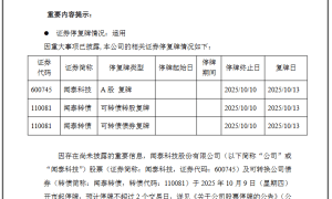 明抢了？荷兰政府接管中资芯片制造商，中企强烈抗议