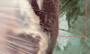 牛肉注水为何屡禁不止？行业人士：应尽早实现集中屠宰 不应只以检测结果为依据