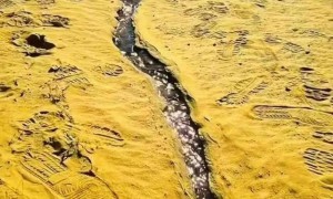 内蒙古一景区溪流被指世界上最窄最短内陆河，回应：属小溪流，“之最”无官方认定