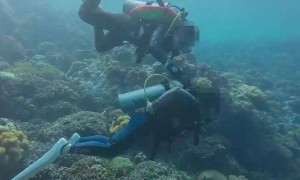 潜水员水下关闭女性潜友气瓶，疑还拍视频发朋友圈？多方回应