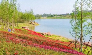 最新最全!成都75个免费景点,收好够玩1年!