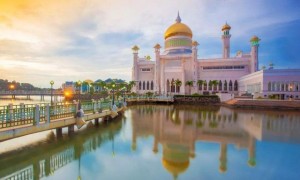 原创
分属国家最多岛屿:亚洲加里曼丹岛,由马来西亚、文莱和印尼共享